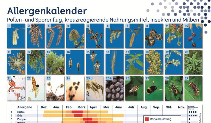 Allergietest  HNO Privat Praxis Essen  Dr. Jörg Lutz